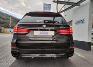 BMW X50D 381CV Diesel